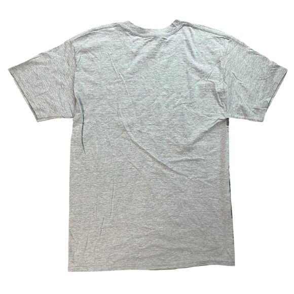 Disneyland T-Shirt Mens M Grey Park Map Magic Animal Kingdom Epcot Attractions - Picture 7 of 8